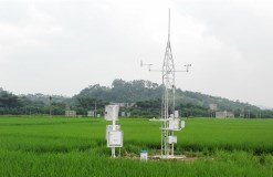 ZXCAWS330 農田環(huán)境自動監(jiān)測站